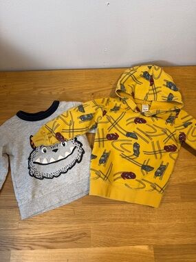 💚 5 for $15/ Bundle of Carter’s sweatshirts